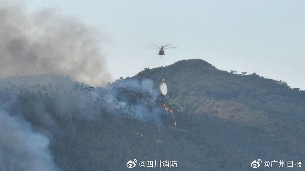 肇庆山火扑灭记