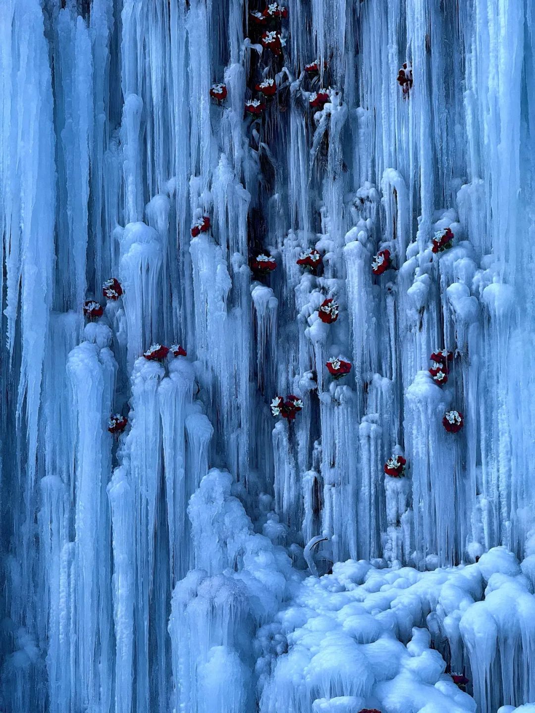 冷热交织，冰雪共舞——冬日里的独特韵味