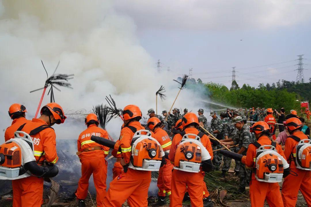 2021年广东春节山火事件回顾与反思